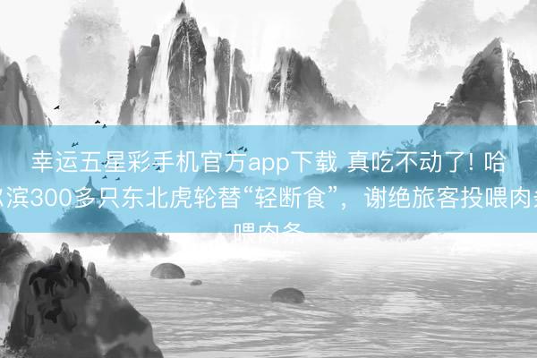幸运五星彩手机官方app下载 真吃不动了! 哈尔滨300多只东北虎轮替“轻断食”，谢绝旅客投喂肉条